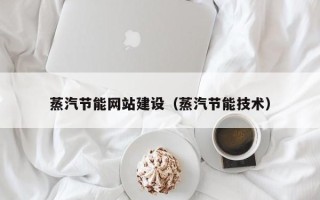 临沧蒸汽节能网站建设（蒸汽节能技术）